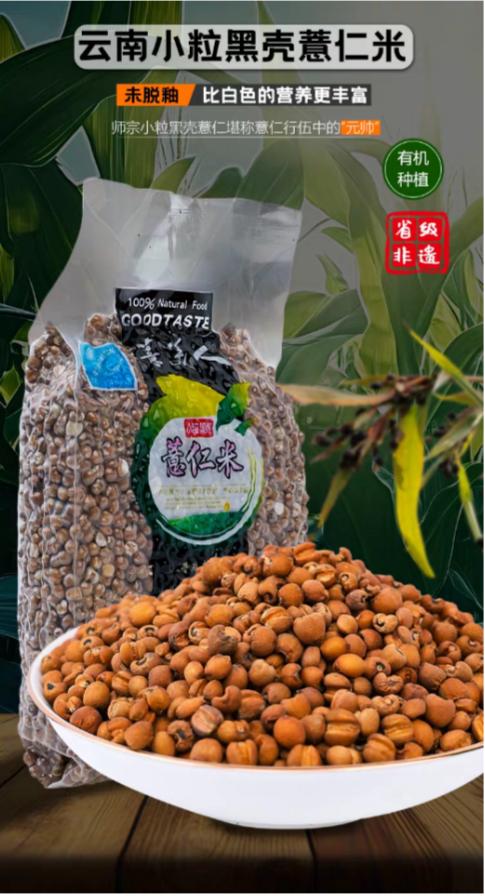 薏美人薏仁米（黄）