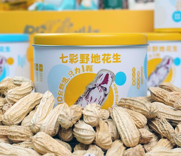 七彩野地花生-2