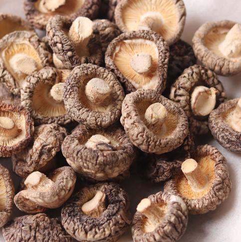 云南特产香菇-2