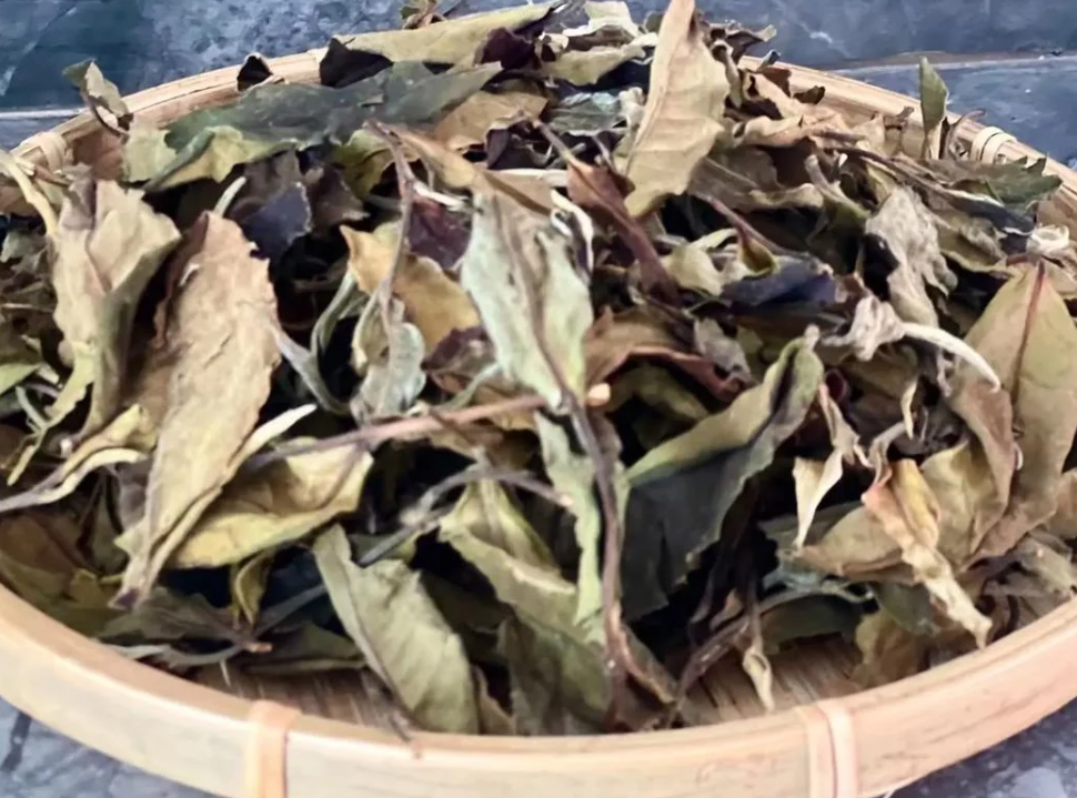 冰岛古树茶白茶