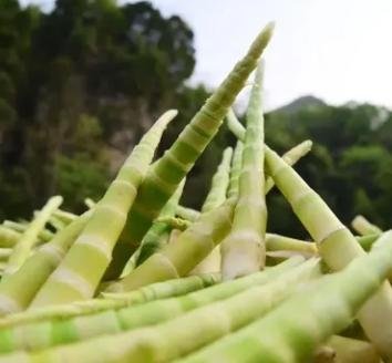 杉珍 有机笋干-2